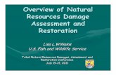 Overview of Natural Resources Damage Assessment and ... · Resources Damage Assessment and Restoration Lisa L.Williams U.S. Fish and Wildlife Service Tribal Natural Resources Damages,