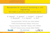Nanosensors for structural monitoring in civil engineering · Nanosensors and civil enginnering Monitoring pore sizes with ultrasounds Monitoring pore humidity with CNTFET Conclusion