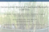 Constructed Wetland Treatment Systems (CWTS)€¦ · forward looking, lateral thinking . Experience • CWTS across North America • Elements, arsenic, cadmium, chromium, cobalt,
