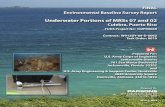 Underwater Portions of MRSs 07 and 02 - United States Army · Environmental Baseline Survey Report Underwater Portions of MRSs 07 and 02 Culebra, Puerto Rico Prepared By: 3577 Parkway