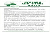University AYO.CADO AND CITRUS NOTES · AYO.CADO AND CITRUS NOTES JUNE - JULY 1977 Defoliation of avocado trees, young and old, is of great concern to growers this spring. The condition