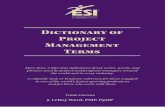Dictionary of Project Management Management Professional (PMPآ® No. 431) and a Program Management Professional