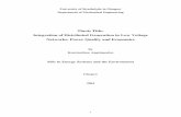 Thesis Title: Integration of Distributed Generation in Low ... · Distributed generation (DG) is an emerging concept in the electricity sector, which represents good alternatives
