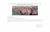 Soil Management for Sustainable Food Production and ... - BHU · environmental and social role, as well as sustainable food production. The management of soil generally and soil fertility