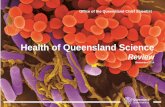 Health of Queensland Science - Office of the Queensland ... · Edward N Wolff, New York University-2.0-1.5-1.0-0.5 0.0 0.5 1.0 1.5 2.0 2.5 3.0 % change Multifactor productivity 1