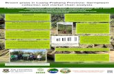 Broom grass in Luang Prabang Province: Germplasm The ... Luang Prabang botanical garden. Survey. A preliminary