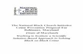 The National Black Church Initiative Crime Prevention ... · Wilson, in his ground breaking work When Work Disappears: New Implications for Race and Urban Poverty in the Global Economy.