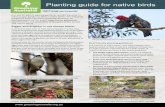 Planting guide for native birds€¦ · smaller birds are rare or threatened species that need our help the most. Bird friendly planting guidelines The majority of native birds in