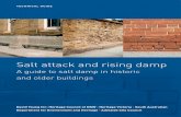 Salt Attack and Rising Damp Technical Guide · technical guide Salt attack and rising damp. A guide to salt damp in historic . and older buildings. david Young for: heritage council