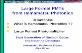 Large Format PMTs from Hamamatsu Photonics...Skyway ICECUBE at the South Pole Dome R7081-02 is a candidate PMT. IceCube is based upon work supported by the United States National Science