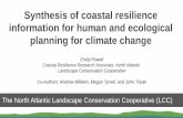 Synthesis of coastal resilience information for human and ......• Tidal flow restoration/salt marsh restoration • Habitat migration through site assessment, acquisition, and management