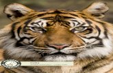 Wildlife Exploration Jungle Trails - Pioneer Expeditions€¦ · Bangalore – Nagarhole National Park ... Kochi is a pleasant market town surrounded by coconut plantations and built