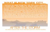 AFTER THE STORM · a major hurricane. The design brief and all entries are posted at: (. net). This competition ﬁ rst introduced Prospect Shore and the hypothetical hurri-cane to