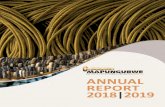 INSTITUTE FOR STRATEGIC REFLECTION (MISTRA) ANNUAL …MAPUNGUBWE INSTITUTE FOR STRATEGIC REFLECTION MISTRA ANNUAL REPORT : 2018 2019 : 6: The report provides a comprehensive account
