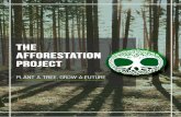 Apresentação do PowerPoint · THE AFFORESTATION PROJECT - PROJECT DESIGN DOCUMENT FOREST HUB - PLANTATION SET-UP Dublin AFFORESTATION 00000 1. After registration is complete, the