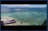 Coral Reef Study – Bunaken National Park€¦ · coral reef system around the Bunaken Island located in North Sulawesi, Indonesia. Course Objectives: • Project management skills