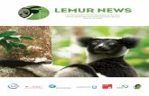 LEMUR NEWS - DPZ€¦ · gets. The action plan, entitled “Lemurs of Madagascar – A Strategy for Their Conservation 2013–2016” (Schwitzer et al., 2013), was launched in July/August