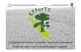 Ecological and socioEconomic Functions of tropical lowland ... · Ecological and socioEconomic Functions of tropical lowland rainForest Transformation Systems. Jochen Drescher, Fuad