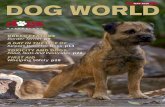 BREED FEATURE Border Terrier p9 · Royal Canin ® formulas are developed with ... attitude and behaviour towards the containment of this pandemic, in the best interests of ensuring