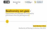 Biodiversity net gain · biodiversity strategy Strategic and spatial framework to guide habitat creation or enhancement and to understand where to avoid impacts Screening environmental