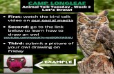 Camp @ Home - Week 2 · Camp Longleaf Animal Talk Tuesday - Week 2 Let's Draw! EXAMPLE. UUUU . Title: Camp @ Home - Week 2 Author: Tonya Traylor Keywords: DAD9TQlsw3Q,BADenfXFhvk