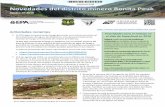 Agosto de D - United States Environmental Protection Agency · Title: Bonita Peak Mining District Update, August 2018- Spanish (Novedades del distrito minero Bonita Peak, Agosto de
