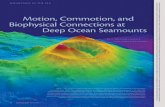 Motion, Commotion, and B iophysical Connections at Deep ...90 Oceanography Vol.23, No.1 MouNtaiNs iN the sea Motion, Commotion, and B iophysical Connections at Deep ocean seamounts