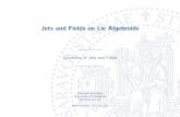 Jets and Fields on Lie Algebroidsgjf/files/slides/martinez.pdf · Mechanics on Lie algebroids (Weinstein 1996, Martínez 2001, ...) Lie algebroid E! M. L2 C1(E) or H2 C1(E) E= TM!
