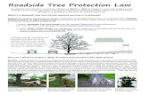 Roadside Tree Protection Law · Ÿ Discuss the need to protect trees with all contractors and subcontractors. Ÿ Deﬁne a Tree Protection Zone by installing tree protection fence