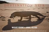 WILDLIFE VIEWING & ANIMAL WELFARE - Destination Asia€¦ · 5 Wildlife viewing & animal welfare I Responsible wildlife viewing in Asia RESPONSIBLE WILDLIFE VIEWING IN ASIA When not