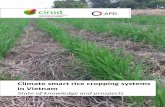 Climate smart rice cropping systems in Vietnam · Climate smart rice cropping systems in Vietnam State of knowledge and prospects . 2 Acknowledgments This report was developed with