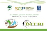 CLIMATE SMART AGRICULTURE INSIGHTS FROM PRACTICE · Climate Smart Agriculture project “Climate Variability and Change Risk and Management, Development of Decision support systems