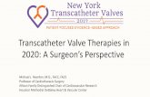Transcatheter Valve Therapies in 2020: A Surgeon’s Perspective...0.0000 0.0005 0.0010 0.0015 0.0020 0.0025 0.0030 0.0035 0.0040 0 30 60 90 120 150 180 210 240 270 300 330 360 y Time