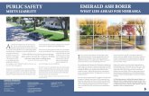 PUBLIC SAFETY EMERALD ASH BORER Community Impacts (2017).pdf · LEAGUE OF MUNICIPALITIES Lash Taffin, Utilities Section Director League of Nebraska Municipalities ... (2012) EMERALD