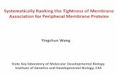 Systematically Ranking the Tightness of Membrane ...cncp.ict.ac.cn/2014/res/ppt/report/Ying-Chun Wang.pdf · Conclusions This tightness of membrane association for PMPs can be measured
