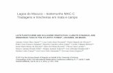 Lagoa do Macuco – testemunho MAC-C Tradagens e trincheiras …apostilas.cena.usp.br/moodle/pessenda/projes/simposio/a... · 2015-04-16 · C) 2013 by the Arizona Board of Regents