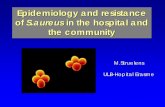 Epidemiology and resistance of S.aureus in the …...• Other : pyomyositis, necrotizing fasciitis, severe sepsis, … Hunt C. et al. MMWR 1999 48:707 Dufour P. et al. CID 2002 35:819