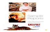 ECRS Catapult Sample Reports booklet - abiGRAPHICSabigraphics.com/sites/default/files/port/abi_CatapultSampleReports.… · Catapult will report up-to-the-minute stats, so you can