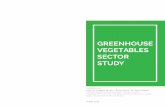 GREENHOUSE VEGETABLES SECTOR STUDYaasf.com.al/wp-content/uploads/2019/08/GreenHouse-EN.pdf · greenhouse are proven to be more efficient that heated greenhouse particularly given
