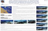bottlenose dolphins (Tursiops aduncus · Nasser Elomda for administrative work. Thanks to HEPCA for the cooperation and support in Hurghada, Egypt. Angela Ziltener Fig.1: Study site