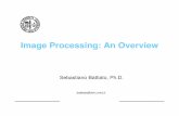 Image Processing: An Overview - unict.itbattiato/download/Par_I_IP_Basis.pdf · Digital images A digital image f[m,n] described in a 2D discrete space is derived from an analog image