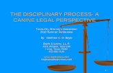 THE DISCIPLINARY PROCESS- A CANINE LEGAL PERSPECTIVEtexascityattorneys.org/2010speakerpapers/PersonnelDisciplinaryActionProcess.pdfDISCIPLINARY ACTION Progressive Discipline- goal