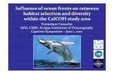 Influence of ocean fronts on cetacean habitat selection ...cetus.ucsd.edu/Publications/Presentations/MAS... · CapstoneFinal_DCamacho [Compatibility Mode] Author: Greg Created Date: