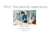 PICU: The parents’ experience 3 PICU Parents.pdf · QUOTES: BEFORE PICU • “I think actually of all the experiences that was my worst, I really had to beg on my knees at X (local