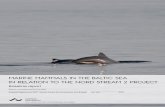 Marine mammals in the Baltic Sea in relation to the Nord ...dce2.au.dk/pub/SR236.pdf · for marine mammals in relation to this gas pipeline. The report pays special attention to Danish,