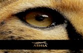 Our Mission & Our Vision - Ashia Cheetah Sanctuary · Cheetah population figures are showing alarmingly dwindling numbers. Ashia is dedicated to fighting for the future survival of