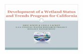 Development of a Wetland Status and Trends Program for ......(e.g., wetlands, streams, and deepwater habitat) Target reporting for every five years, one year ahead of the National