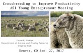 Crossbreeding to Improve Productivity ASI Young ...€¦ · Crossbreeding to Improve Productivity ASI Young Entrepreneur Meeting David R. Notter Department of Animal and Poultry Sciences