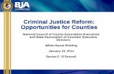 Criminal Justice Reform: Opportunities for Counties · local and tribal communities develop place-based, community-oriented strategies to change neighborhoods of distress into neighborhoods
