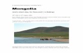 A mammal, bird and grass-watching trip to Mongolia · Day 2 Drive out of the town for 2 hours to Gun Galuut Nature Reserve. Enjoy the wilderness. Ger camp overnight Day 3-4. Free